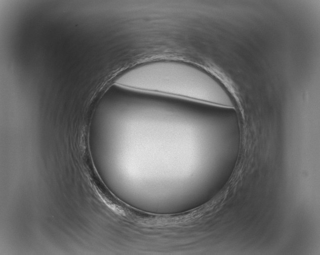 X0000084000009200702160808
