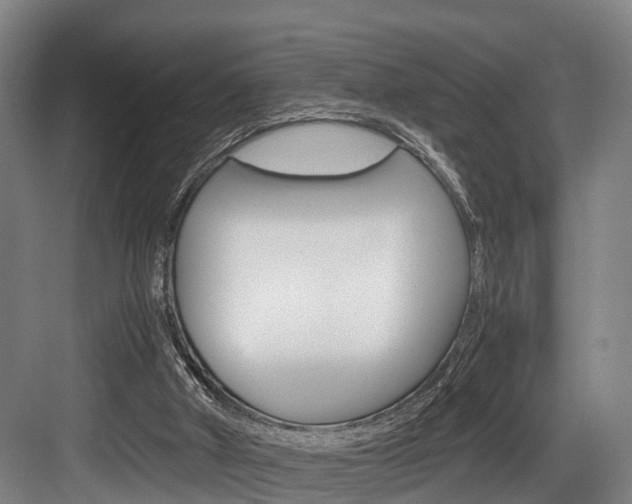 X0000084000010200702160808