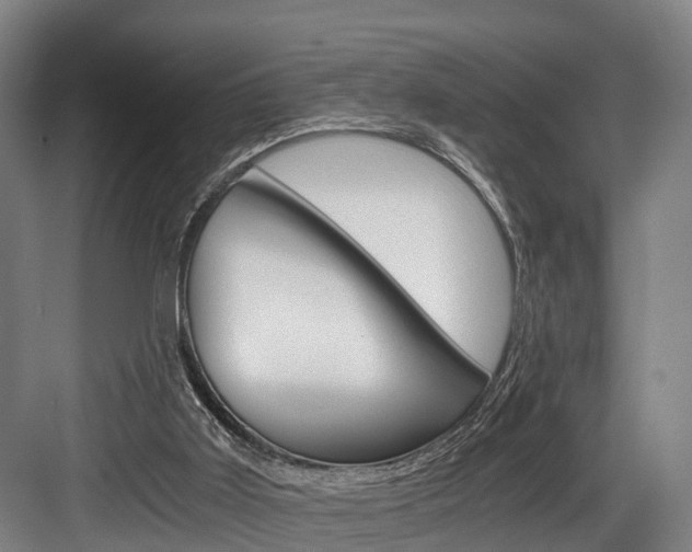 X0000084000011200702160808