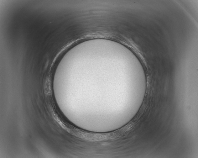 X0000084000012200702160808
