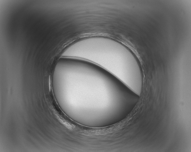 X0000084000013200702160808