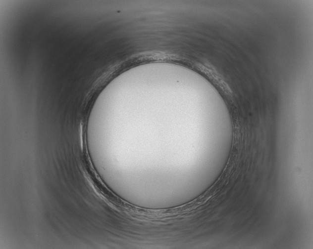 X0000084000014200702160808