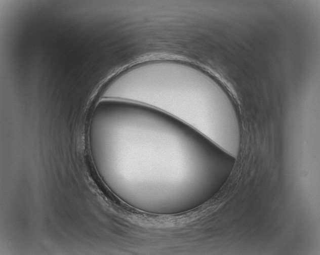 X0000084000015200702160808