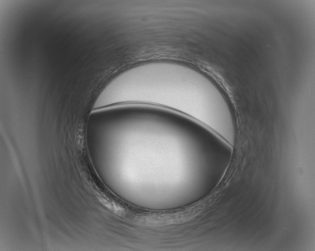 X0000084000017200702160808