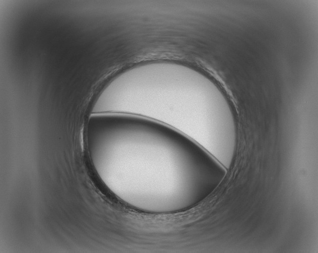 X0000084000019200702160808