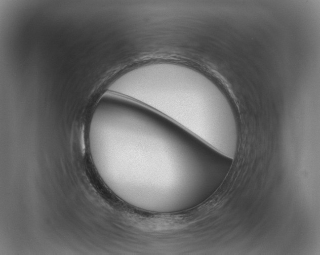 X0000084000020200702160808