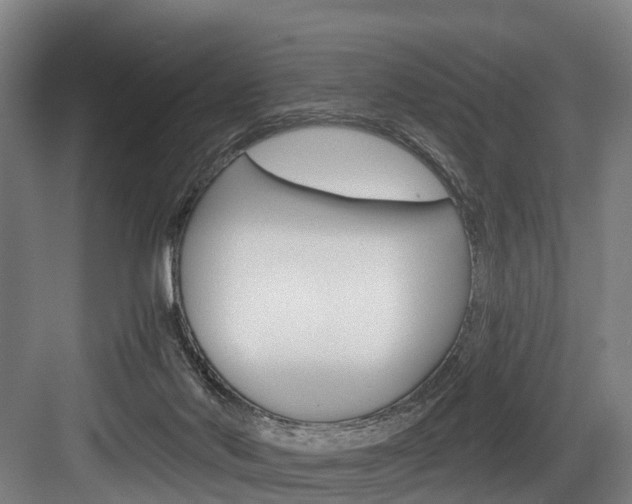 X0000084000022200702160808