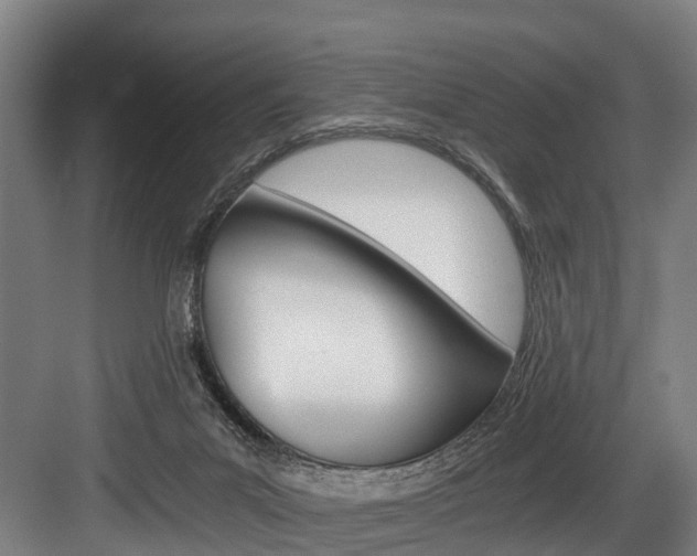 X0000084000023200702160808