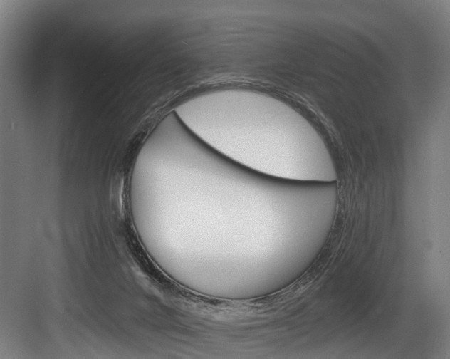 X0000084000024200702160808
