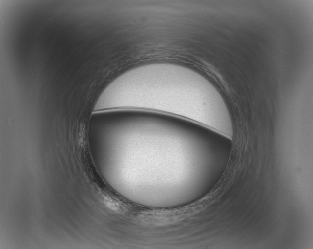 X0000084000025200702160808