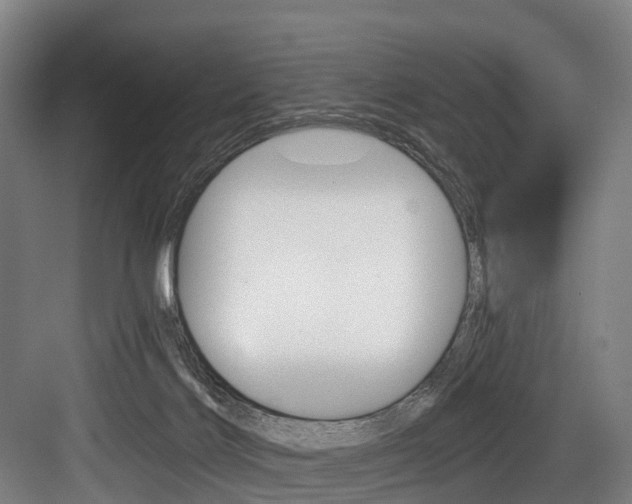 X0000084000028200702160808