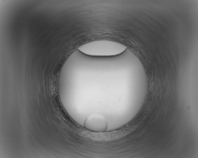 X0000084000030200702160808