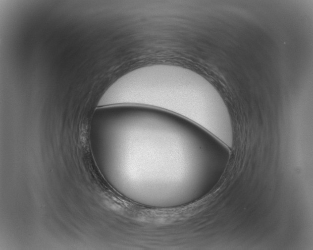 X0000084000033200702160808