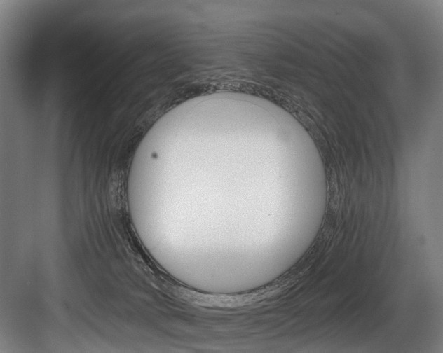 X0000084000034200702160808