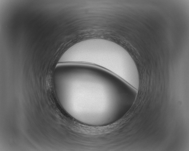 X0000084000035200702160808