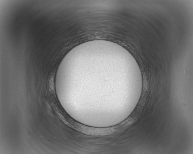 X0000084000036200702160808