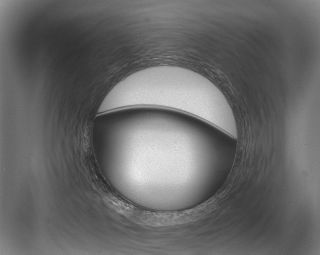 X0000084000037200702160808