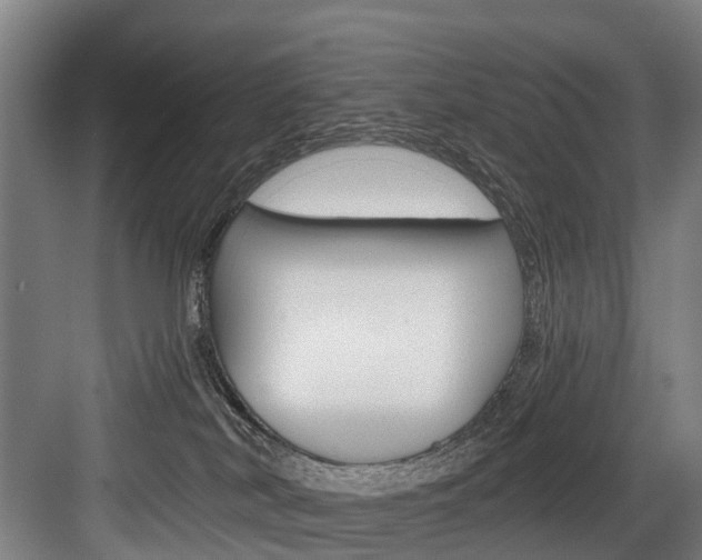 X0000084000038200702160808