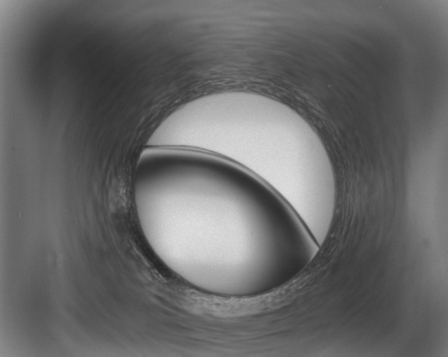 X0000084000039200702160808