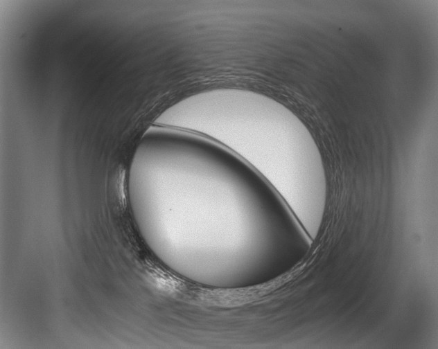 X0000084000041200702160808