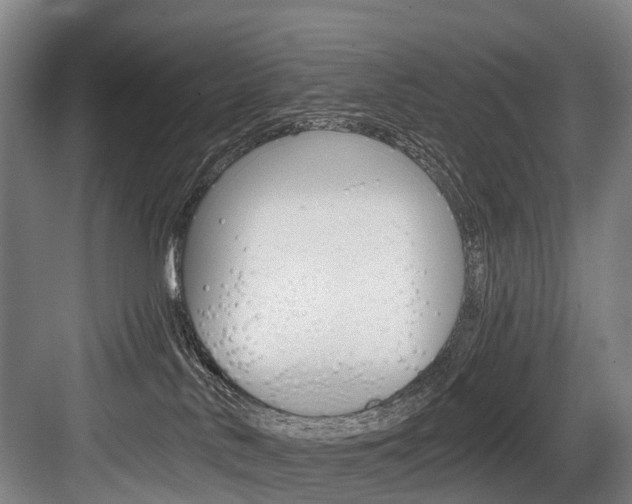 X0000084000042200702160808