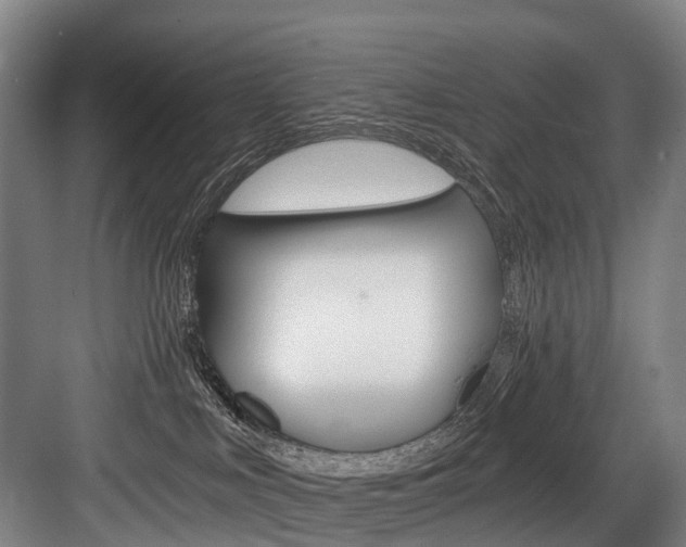 X0000084000043200702160808