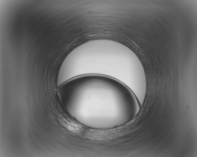 X0000084000045200702160808