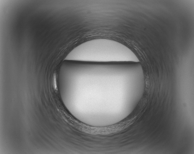 X0000084000046200702160808