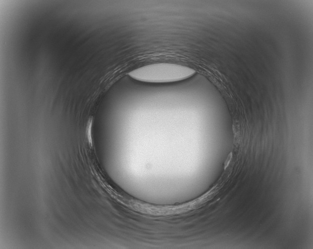 X0000084000047200702160808