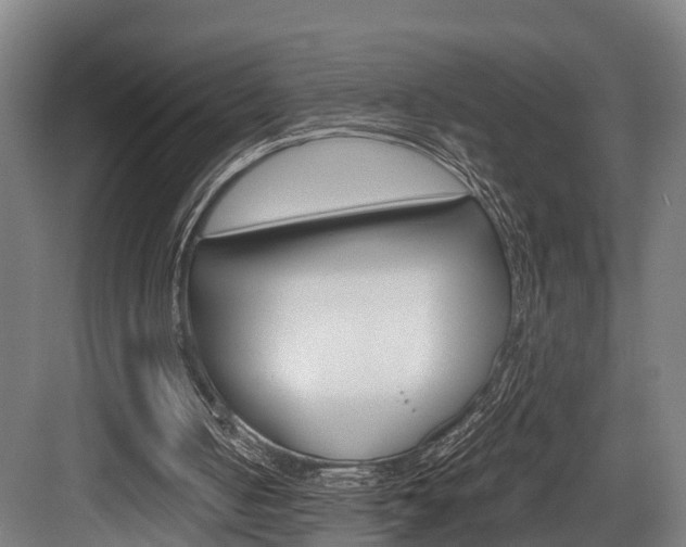 X0000084000050200702160807