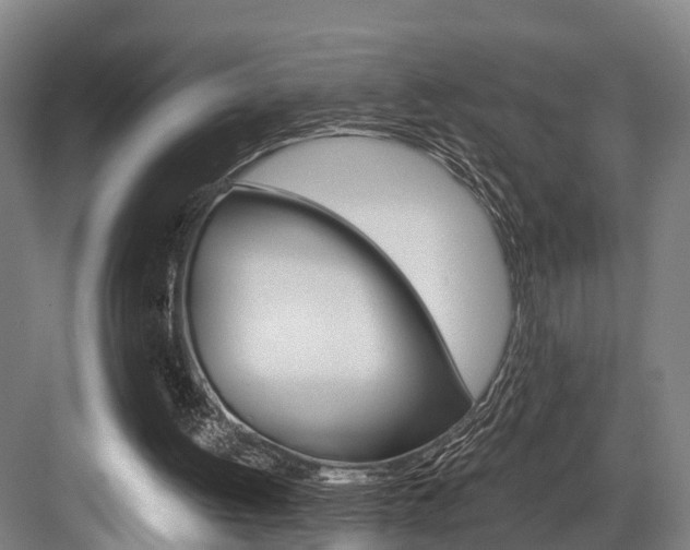 X0000084000052200702160807