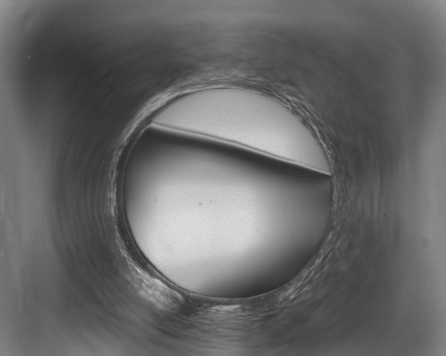X0000084000054200702160807