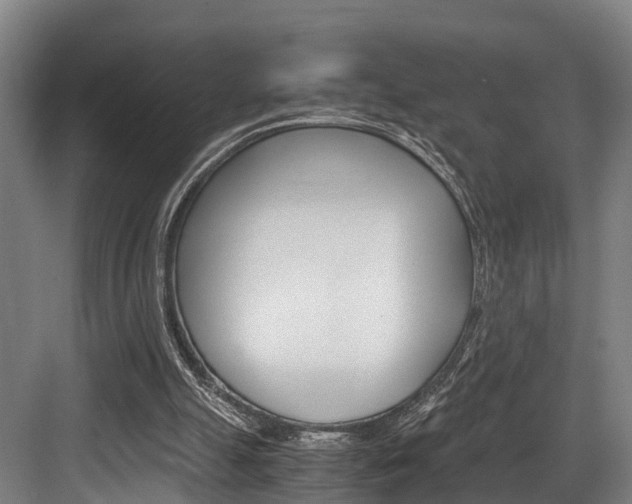 X0000084000055200702160807