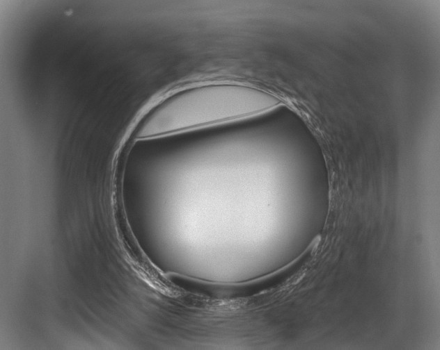 X0000084000056200702160807