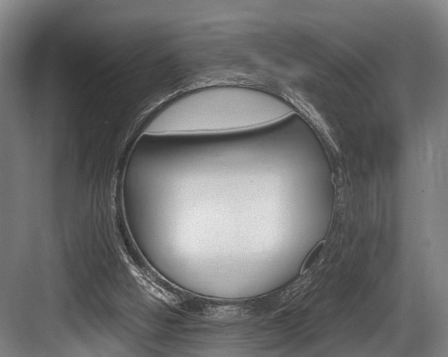 X0000084000058200702160807