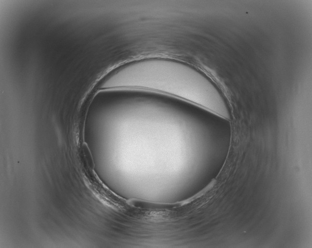 X0000084000060200702160807
