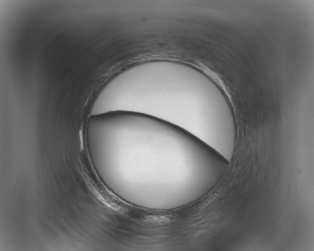 X0000084000061200702160807