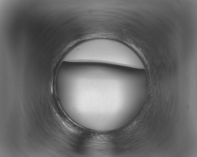 X0000084000062200702160807
