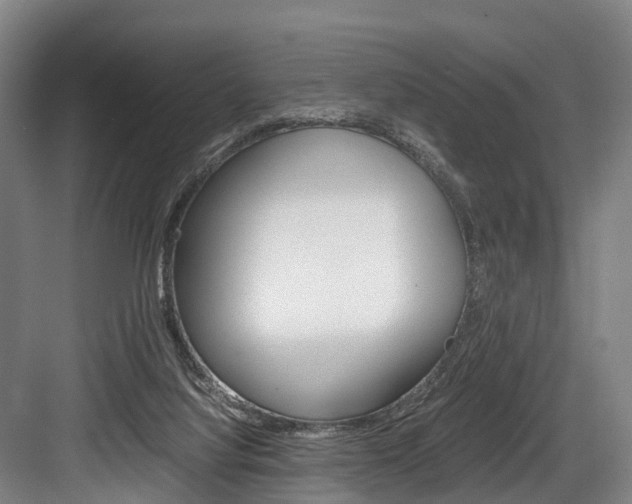 X0000084000068200702160807