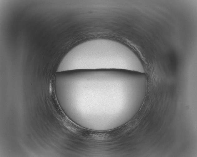 X0000084000069200702160807