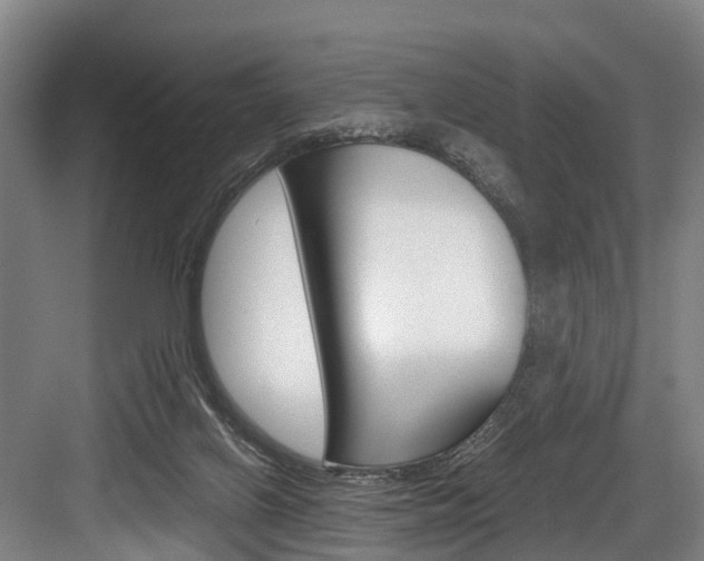 X0000084000070200702160807