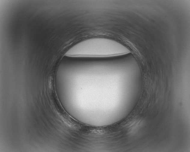 X0000084000071200702160807
