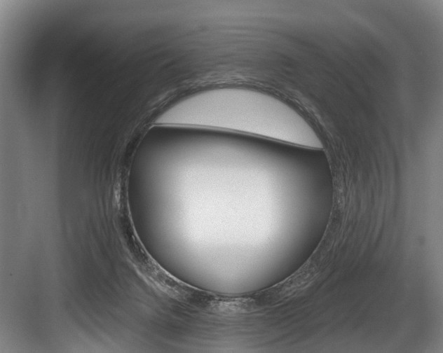 X0000084000072200702160807
