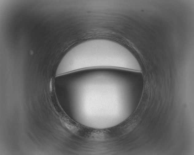 X0000084000076200702160807