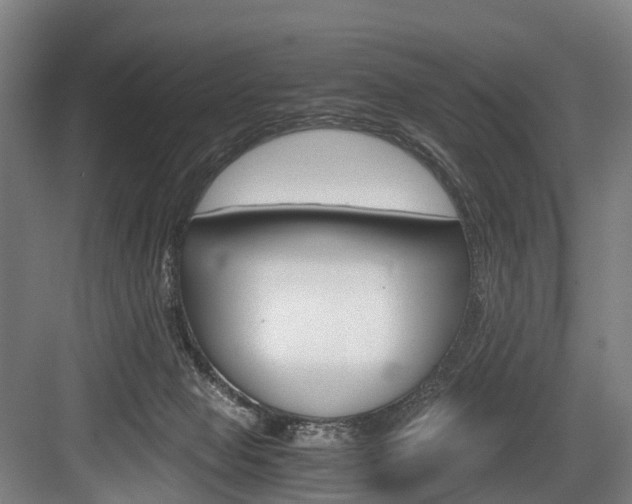 X0000084000077200702160807