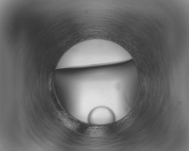 X0000084000082200702160807