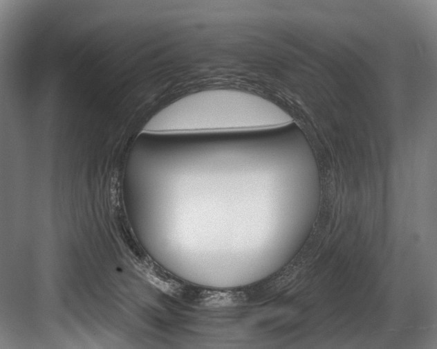 X0000084000083200702160807