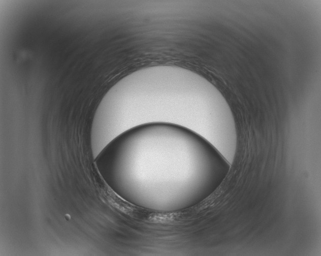 X0000084000084200702160807