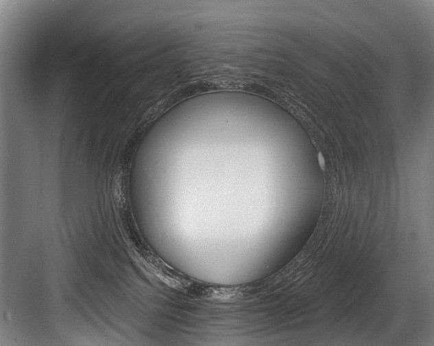 X0000084000088200702160807