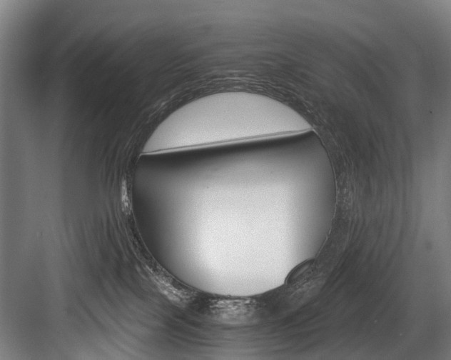 X0000084000089200702160807